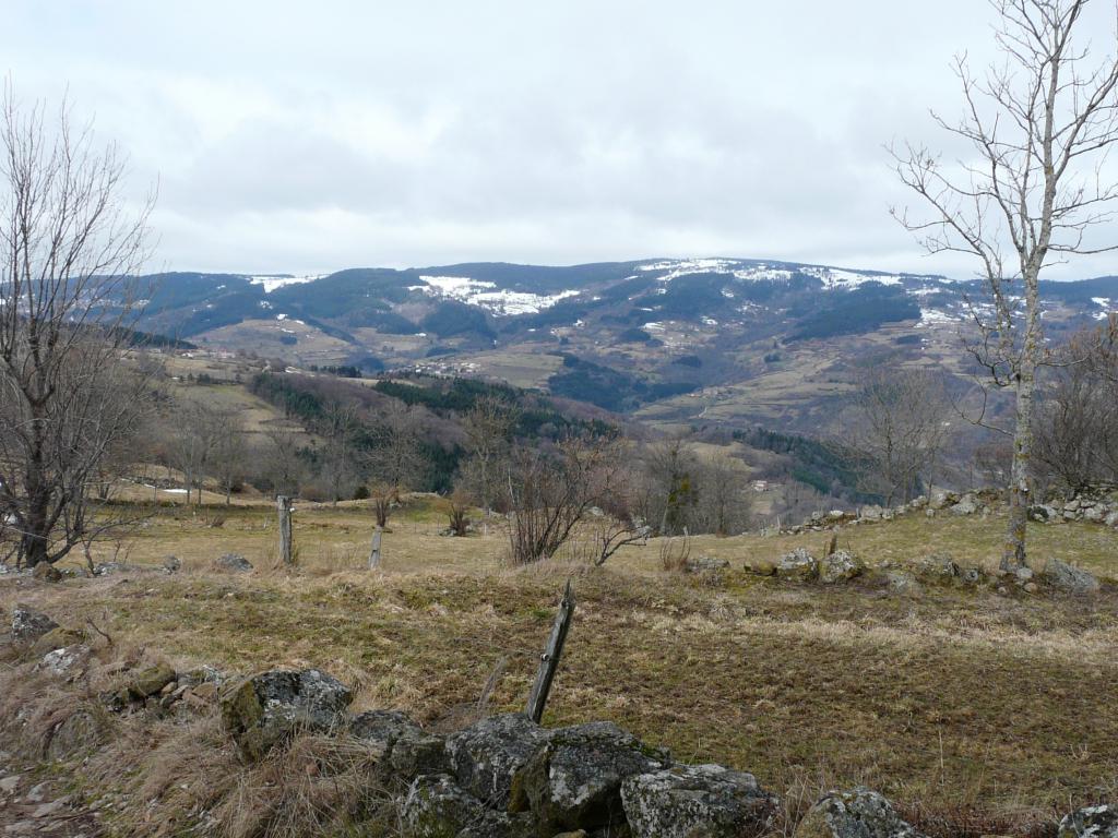 Burdignes, 08-03-09, 11-47.jpg